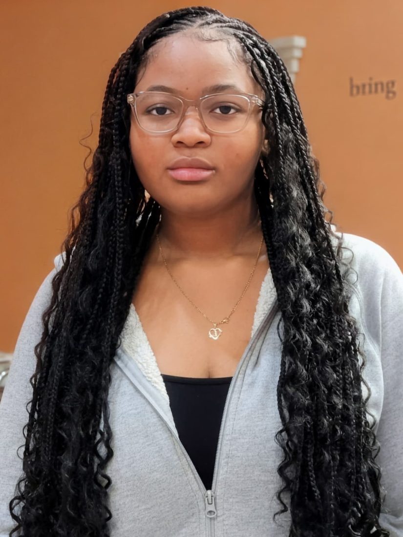 Long Boho Braids